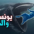 رؤية سيدنا يونس