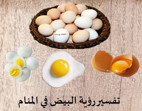 رؤية البيض