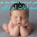 معنى اسم تيمية وصفاته