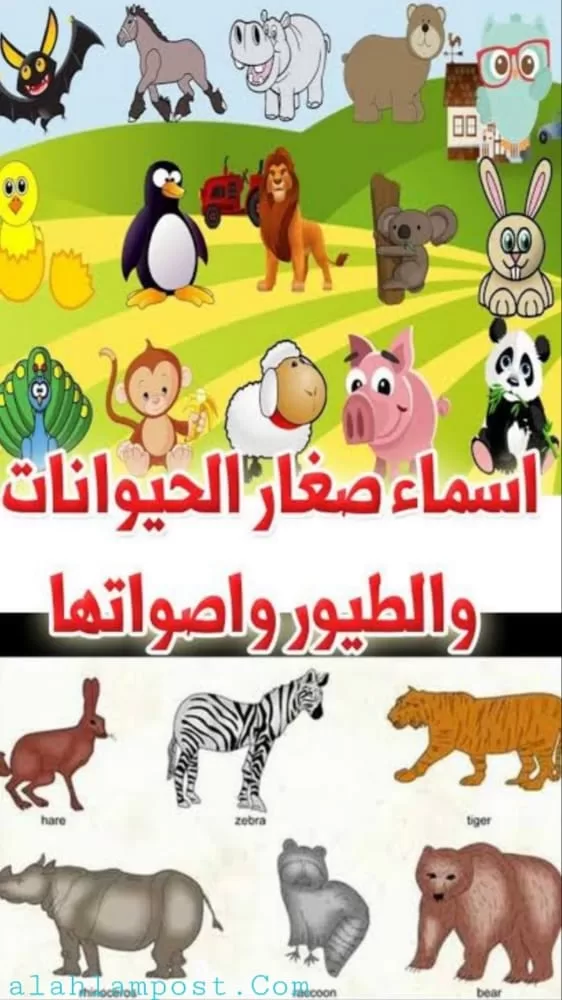 اسماء صغار الحيوانات