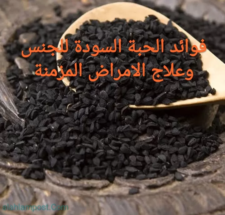 فوائد الحبة السودة