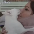 رؤية القطة للمتزوجة