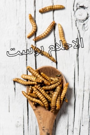 خروح الدود من الفم